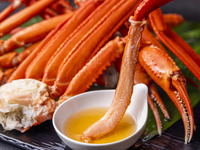 【ズワイガニ食べ放題付き】ディナービュッフェ（4歳～12歳）