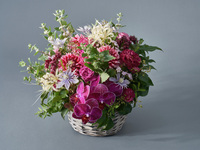 アレンジメント