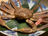 活松葉蟹半身コース2月～3月
