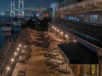 【平日ディナー限定】4〜8名のお客様限定 新年会プラン ＋ 赤・白・スパークリングワインがフリーフロー🍾