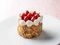 【HP限定】ミルフィーユホールケーキ付アニバーサリーランチ