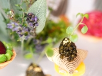 Lunch Course (Noël Special) 