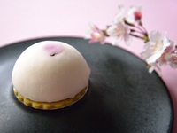 桜レアチーズケーキ