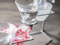 【2月16日イベント】美酔の会～成龍酒造×熊谷とあかぼし～