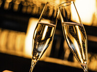 【乾杯ボトルスパークリング×選べる日本酒・焼酎含む豪華2時間飲み放題付き】今井屋Xmas★究極の比内地鶏料理を嗜む★『花』コース全8品