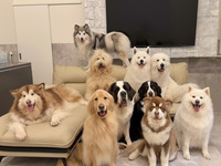 【平日】新規様限定ふれあいプラン　スペシャルドリンク付き