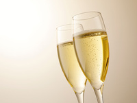 1/5～1/31限定！新年会特別個室ディナープラン（乾杯スパークリング付飲み放題）￥9500