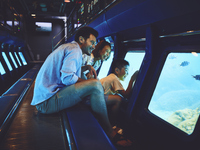 [General Price] 2026 Submarine Jr II Adult