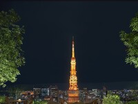 【Tower view guaranteed】7-course dinner with a glass of champagne
