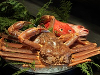 活け松葉蟹コース　農口尚彦研究所の日本酒飲み比べセット付き