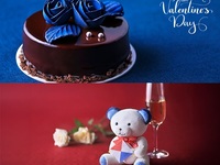 【バレンタイン限定】アニバーサリープレミアムオプションプラン