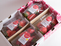 【1月】いちごの里感謝パック（250g×4パック入り）