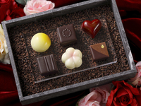 ショコラヴァリエ 9ピース