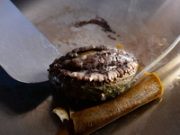 ご宿泊付きプラン　21％OFF！[バリュープラン(平日ディナー)] シェフコース+ワンドリンク