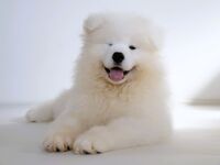 Reserva de solo asiento