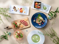 [3.4月］季節の創作鉄板コース 彩 『IRODORI』