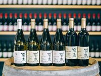 [March 13th only] Kikuka Kumamoto Wine Farm x Mizuki Kappo One-Night Event