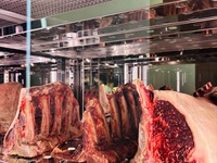 3/6〜sio Aoyama Seasonal Dinner Course 【メインサカエヤ和牛】【席おまかせ】