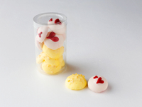 ギモーヴショコラ