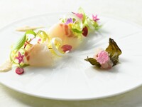 【桜×春の味覚を堪能】桜づくしのフレンチコース（3/23～4/5）