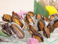 العشاء: "أذن البحر"