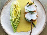 オーラ季節のアラカルト