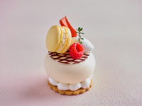 【店頭お支払い】ココル