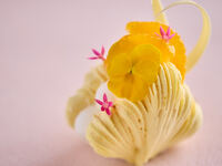 Melange Shanti ~Mimosa~