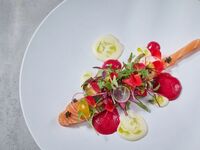 [SCAPES ORANGE] Lunch Short Course (4 dishes) (Saturdays, Sundays, and holidays)