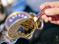 ＜受付中＞【 コラボイベント 】KALUGA QUEEN キャビア × 相楽園