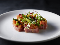 【ランチ】Share Course