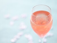 [March 23rd - April 10th] Dinner plan with cherry blossom cocktail