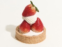 【テイクアウト】ストロベリータルト(8cm)※ソイ