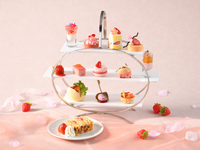 《1月日曜夜限定》【1/10~4/30】春花の苺アフタヌーンティー