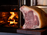 [Wagyu beef course with 2 hours all-you-can-drink]