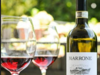 ◆◆【2/18限定/18：00開始】マローネ メーカーズディナー◆◆