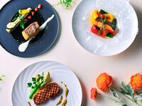 【 平日ディナー限定 】Chef's Recommend 