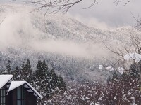 <Accommodation for 2 people + Breakfast and Dinner included> Casual twin room in half of a cottage