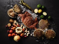 [Limited Time Special Price] Zen + Champagne by the glass