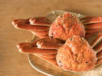 浜町緒ばたの水蟹懐石（2/20~3/20）