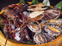 【鉄板焼】 森本 極 コース