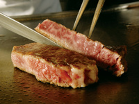 [Teppanyaki] Curso XEX