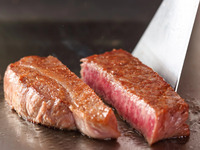 Steak Course [Specially Selected Japanese Black Beef Fillet 120g]