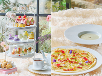 犬同伴【ピザランチ】フラワーマルシェアフタヌーンティー（平日）