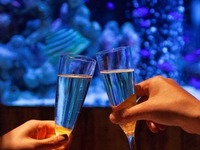 [B] Standard Dinner Course - 7 dishes + "All-you-can-drink beer" *On weekdays, reservations are accepted in advance through the official website, but the price is reduced from 5,780 yen to 5,480 yen