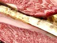 【数量限定】日本の旨いもんコース ×「熟成肉つむぐ」熟成肉