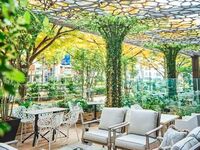 【表参道ケヤキ並木を望むテラス確約】いちごアフタヌーンティー 平日 予約制