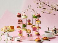 【3/14-4/30 Weekday】Sakura Afternoon Tea