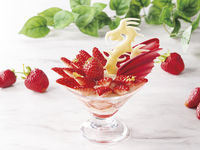 【ドリンクセット】ドラゴンパフェ苺