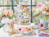 【平日 通常プラン（わんちゃん同伴有）】大人/中学生以上フラワーマルシェアフタヌーンティー